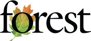 Forest Incentives